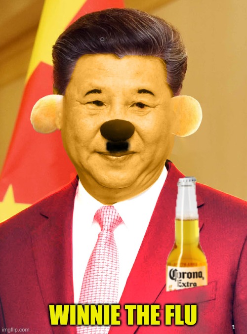 WINNIE THE FLU | made w/ Imgflip meme maker