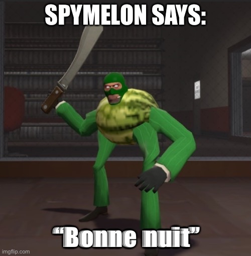 Spymelon | SPYMELON SAYS:; “Bonne nuit” | image tagged in spymelon | made w/ Imgflip meme maker