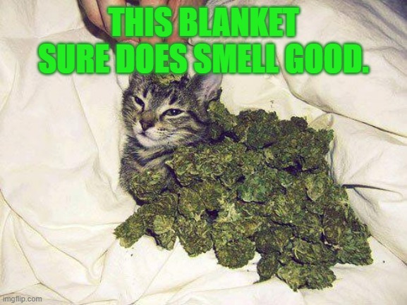 THIS BLANKET SURE DOES SMELL GOOD. | made w/ Imgflip meme maker