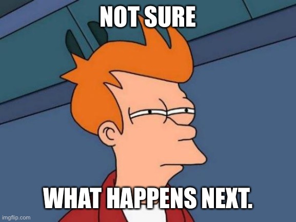 Futurama Fry Meme | NOT SURE WHAT HAPPENS NEXT. | image tagged in memes,futurama fry | made w/ Imgflip meme maker