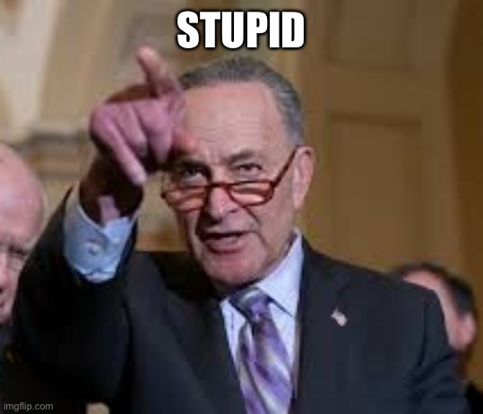 Schmuck Shumer | STUPID | image tagged in schmuck shumer | made w/ Imgflip meme maker