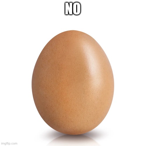 NO | image tagged in egg | made w/ Imgflip meme maker