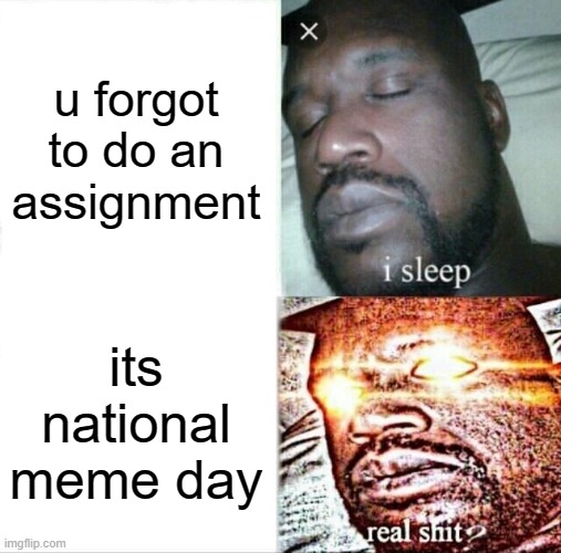 wake up, its national meme day | u forgot to do an assignment; its national meme day | image tagged in memes,sleeping shaq | made w/ Imgflip meme maker