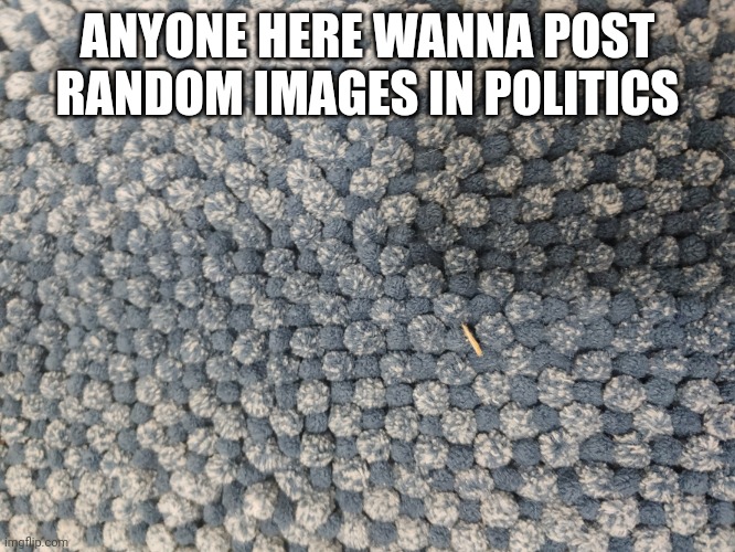 æ | ANYONE HERE WANNA POST RANDOM IMAGES IN POLITICS | image tagged in rug reveal | made w/ Imgflip meme maker