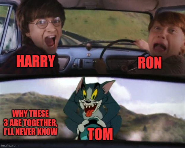 3 random guys | HARRY; RON; WHY THESE 3 ARE TOGETHER, I'LL NEVER KNOW; TOM | image tagged in tom chasing harry and ron weasly | made w/ Imgflip meme maker