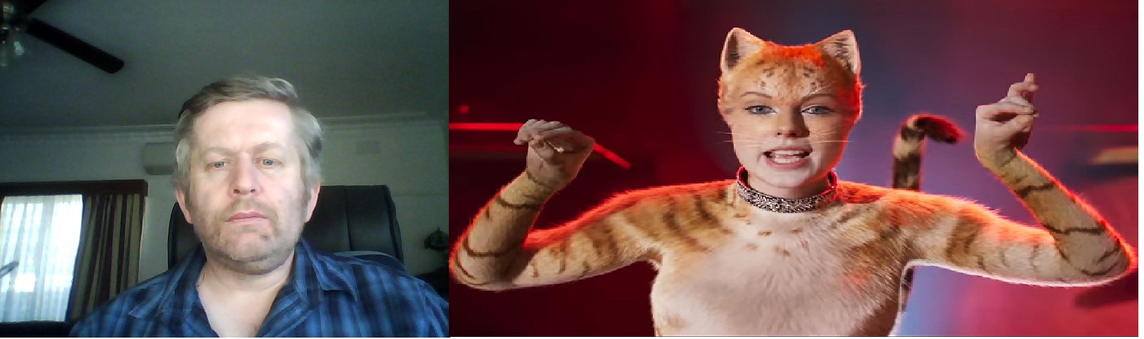 Andrew taylor  and as a cat on cats Blank Meme Template