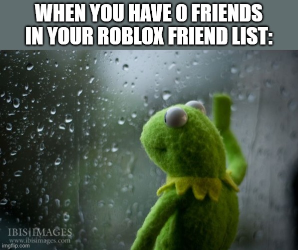 hmm pretty sad | WHEN YOU HAVE 0 FRIENDS IN YOUR ROBLOX FRIEND LIST: | image tagged in kermit window | made w/ Imgflip meme maker