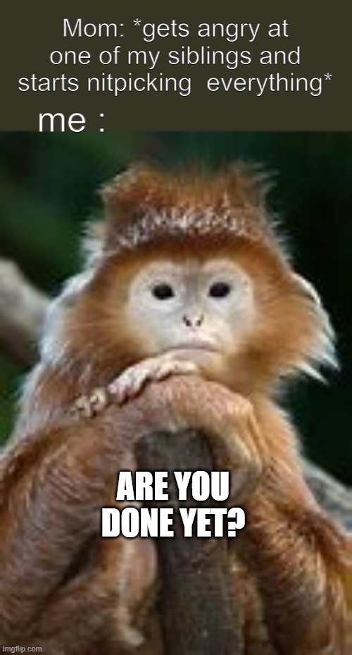 lol | me :; Mom: *gets angry at one of my siblings and starts nitpicking  everything*; ARE YOU DONE YET? | image tagged in memes,monke,funny,bored | made w/ Imgflip meme maker