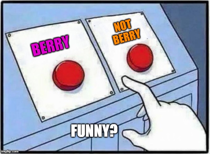 Berry Good | NOT 
BERRY; BERRY; FUNNY? | image tagged in hard choice to make,berry,cake,not very funny,funny,very funny | made w/ Imgflip meme maker