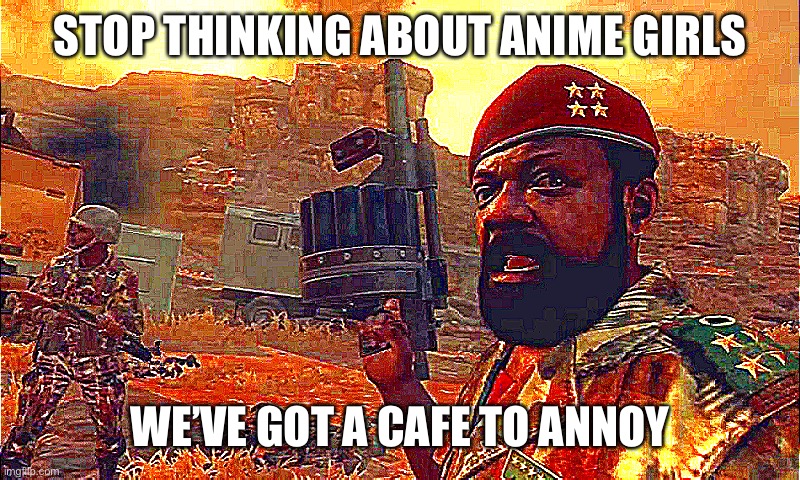GLORY TO THE TROLL REPUBLIC | STOP THINKING ABOUT ANIME GIRLS; WE’VE GOT A CAFE TO ANNOY | image tagged in mpla | made w/ Imgflip meme maker
