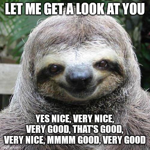 Appreciative sloth | LET ME GET A LOOK AT YOU; YES NICE, VERY NICE, VERY GOOD, THAT'S GOOD, VERY NICE, MMMM GOOD, VERY GOOD | image tagged in sloth | made w/ Imgflip meme maker
