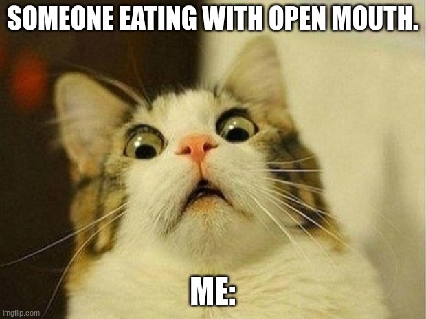Scared Cat Meme | SOMEONE EATING WITH OPEN MOUTH. ME: | image tagged in memes,scared cat | made w/ Imgflip meme maker