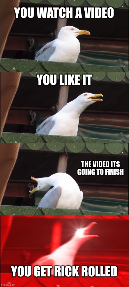 Inhaling Seagull Meme | YOU WATCH A VIDEO; YOU LIKE IT; THE VIDEO ITS GOING TO FINISH; YOU GET RICK ROLLED | image tagged in memes,inhaling seagull | made w/ Imgflip meme maker