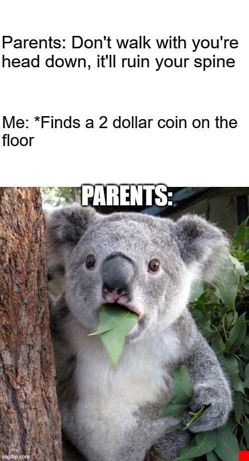 True Story! | Parents: Don't walk with you're head down, it'll ruin your spine; Me: *Finds a 2 dollar coin on the floor; PARENTS: | image tagged in blank white template,memes,surprised koala,money,coincidence,parents | made w/ Imgflip meme maker