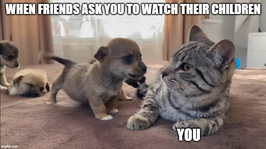 uh-oh | WHEN FRIENDS ASK YOU TO WATCH THEIR CHILDREN; YOU | image tagged in cat,puppy | made w/ Imgflip meme maker