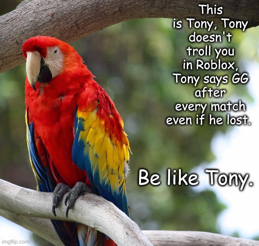 Be like Tony | This is Tony, Tony doesn't troll you in Roblox, Tony says GG after every match even if he lost. Be like Tony. | image tagged in tony,be like tony | made w/ Imgflip meme maker
