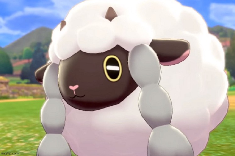 can i apply for moderator (btw this wooloo is cute) | image tagged in wooloo | made w/ Imgflip meme maker