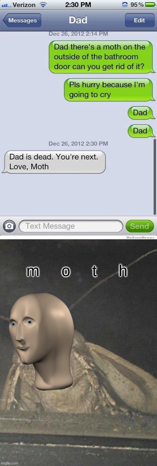 moth | m     o     t     h | image tagged in moth,funny texts | made w/ Imgflip meme maker