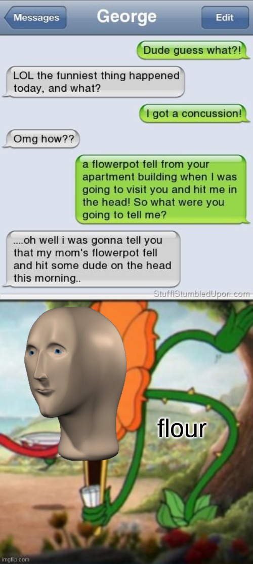 flour | flour | image tagged in sunflower,funny texts | made w/ Imgflip meme maker