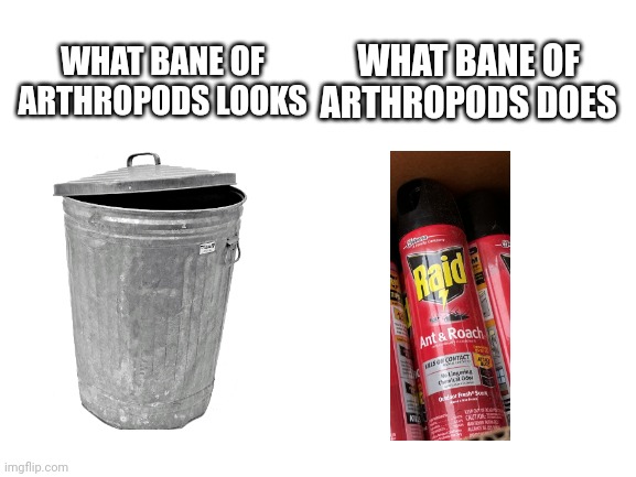 Bane of arthropods: bug spray | WHAT BANE OF ARTHROPODS LOOKS; WHAT BANE OF ARTHROPODS DOES | image tagged in blank white template,minecraft | made w/ Imgflip meme maker