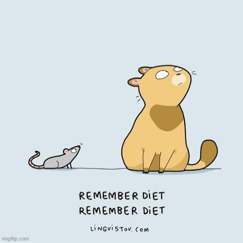 A Cat's Way Of Thinking | image tagged in memes,comics,cats,mouse,remember,diet | made w/ Imgflip meme maker