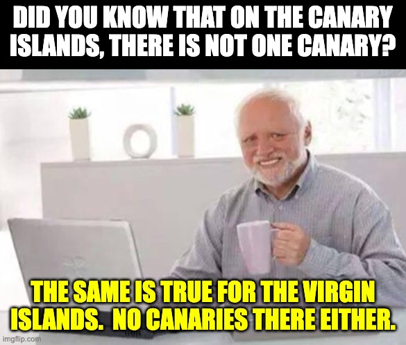 Canaries | DID YOU KNOW THAT ON THE CANARY ISLANDS, THERE IS NOT ONE CANARY? THE SAME IS TRUE FOR THE VIRGIN ISLANDS.  NO CANARIES THERE EITHER. | image tagged in harold | made w/ Imgflip meme maker