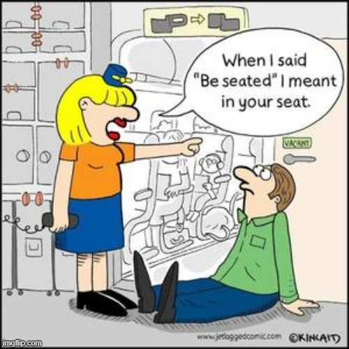 Bewilderment | image tagged in memes,comics,flight attendant,sit down,your,seat | made w/ Imgflip meme maker