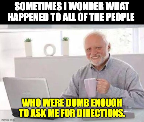 Dad Joke | SOMETIMES I WONDER WHAT HAPPENED TO ALL OF THE PEOPLE; WHO WERE DUMB ENOUGH TO ASK ME FOR DIRECTIONS. | image tagged in harold | made w/ Imgflip meme maker