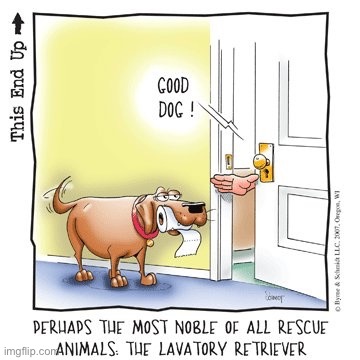 image tagged in comics/cartoons | made w/ Imgflip meme maker