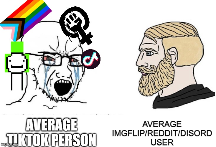 Don't get me wrong, there are SOME good sides of tiktok | AVERAGE IMGFLIP/REDDIT/DISORD USER; AVERAGE TIKTOK PERSON | image tagged in soyboy vs yes chad | made w/ Imgflip meme maker