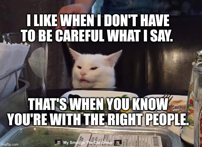 I LIKE WHEN I DON'T HAVE TO BE CAREFUL WHAT I SAY. THAT'S WHEN YOU KNOW YOU'RE WITH THE RIGHT PEOPLE. | image tagged in smudge the cat | made w/ Imgflip meme maker