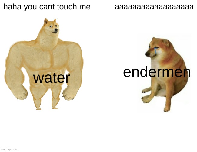Buff Doge vs. Cheems Meme | haha you cant touch me; aaaaaaaaaaaaaaaaaa; endermen; water | image tagged in memes,buff doge vs cheems | made w/ Imgflip meme maker