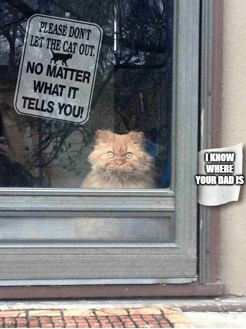 DONT LET THE CAT OUT | I KNOW WHERE YOUR DAD IS | image tagged in dont let the cat out | made w/ Imgflip meme maker