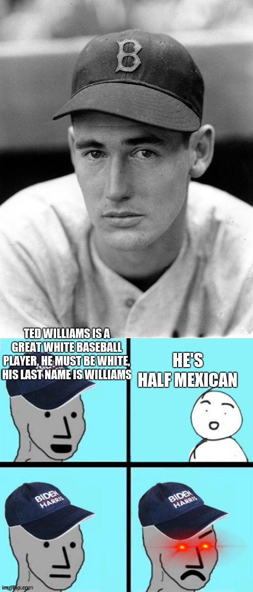 TED WILLIAMS IS A GREAT WHITE BASEBALL PLAYER, HE MUST BE WHITE, HIS LAST NAME IS WILLIAMS HE'S HALF MEXICAN | image tagged in blue hat npc | made w/ Imgflip meme maker