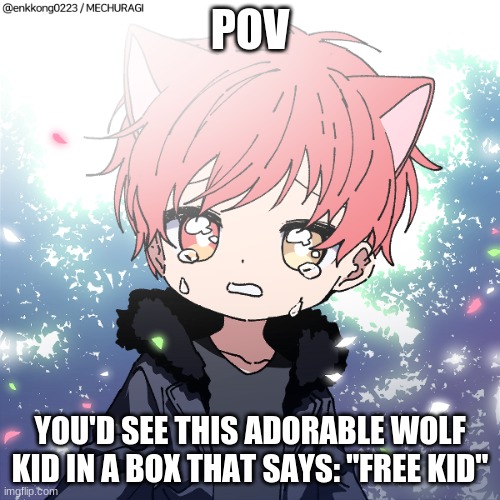 HJ's backstory PT 2!!! | POV; YOU'D SEE THIS ADORABLE WOLF KID IN A BOX THAT SAYS: "FREE KID" | image tagged in roleplaying,hj's backstory pt 2,action,a little bit of romance,smol bean | made w/ Imgflip meme maker