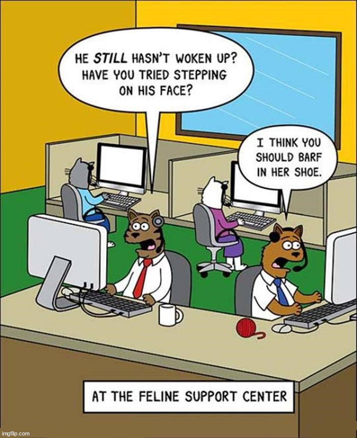image tagged in comics/cartoons | made w/ Imgflip meme maker
