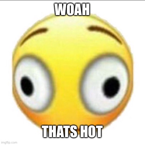 bonk | WOAH THATS HOT | image tagged in bonk | made w/ Imgflip meme maker