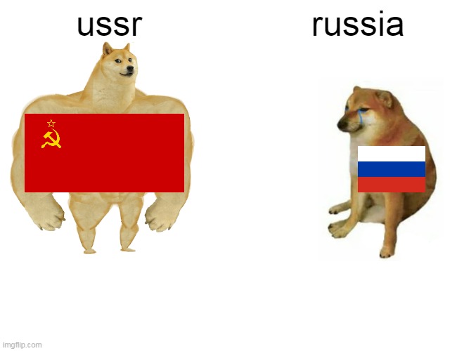 Buff Doge vs. Cheems Meme | ussr; russia | image tagged in memes,buff doge vs cheems | made w/ Imgflip meme maker