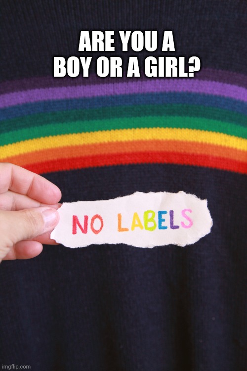 No labels | ARE YOU A BOY OR A GIRL? | image tagged in gay,gay pride,lesbian,transgender,non binary,pride | made w/ Imgflip meme maker