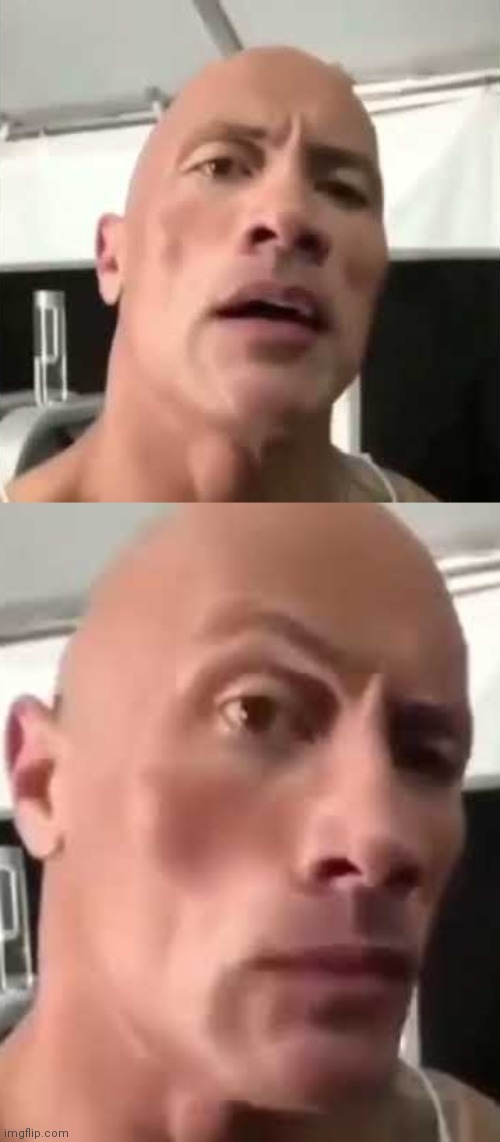 image tagged in rock eyebrow meme,rock eyebrow | made w/ Imgflip meme maker