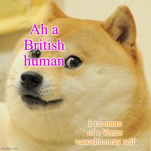 Doge Meme | Ah a British human I am more of a Venus vanoshion my self | image tagged in memes,doge | made w/ Imgflip meme maker