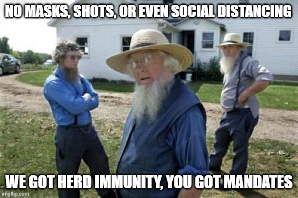 Amish Men | NO MASKS, SHOTS, OR EVEN SOCIAL DISTANCING; WE GOT HERD IMMUNITY, YOU GOT MANDATES | image tagged in amish men | made w/ Imgflip meme maker