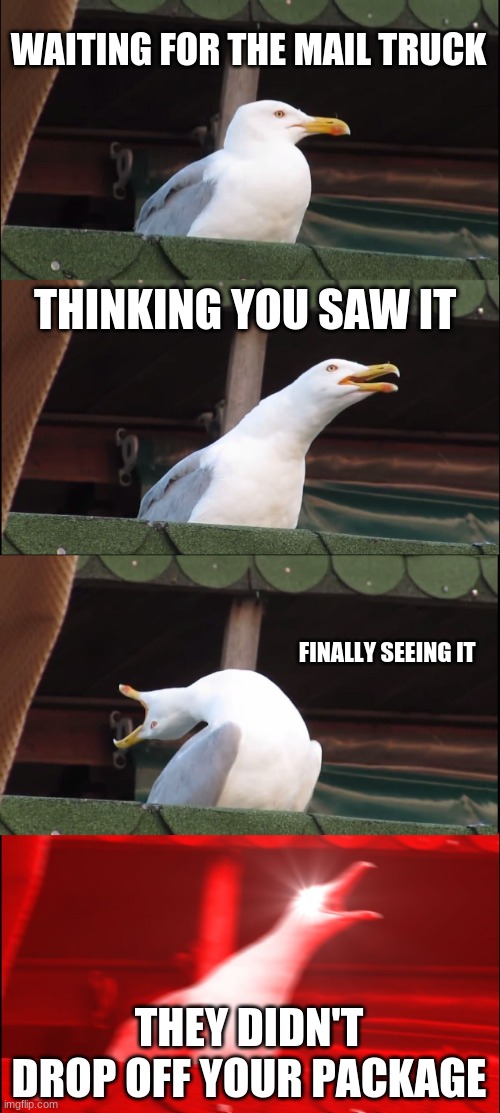 a meme i made forever ago | WAITING FOR THE MAIL TRUCK; THINKING YOU SAW IT; FINALLY SEEING IT; THEY DIDN'T DROP OFF YOUR PACKAGE | image tagged in memes,inhaling seagull | made w/ Imgflip meme maker