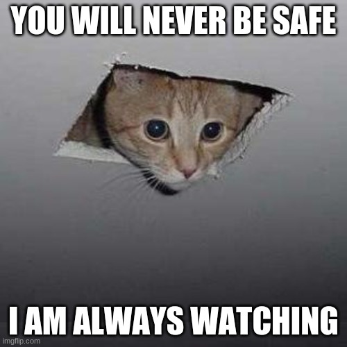 Ceiling Cat | YOU WILL NEVER BE SAFE; I AM ALWAYS WATCHING | image tagged in memes,ceiling cat | made w/ Imgflip meme maker