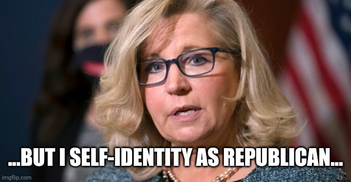 Liz Cheney | ...BUT I SELF-IDENTITY AS REPUBLICAN... | image tagged in liz cheney | made w/ Imgflip meme maker