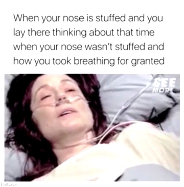 image tagged in memes,funny,dark humor | made w/ Imgflip meme maker