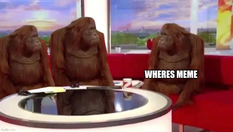 where monkey | WHERES MEME | image tagged in where monkey | made w/ Imgflip meme maker