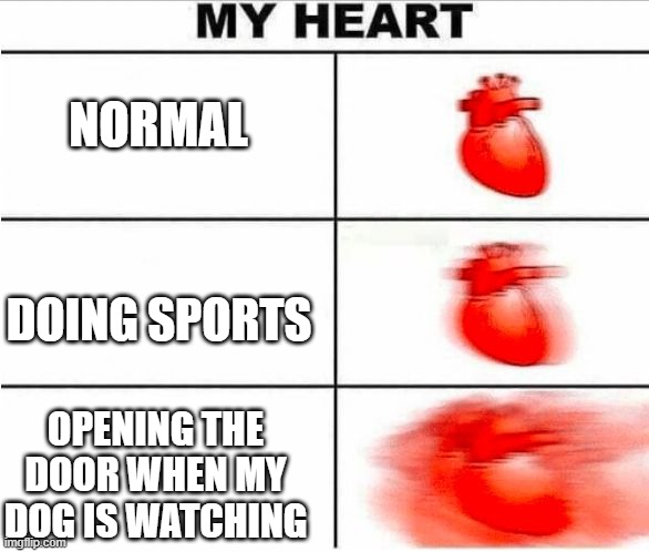 Heartbeat |  NORMAL; DOING SPORTS; OPENING THE DOOR WHEN MY DOG IS WATCHING | image tagged in heartbeat | made w/ Imgflip meme maker