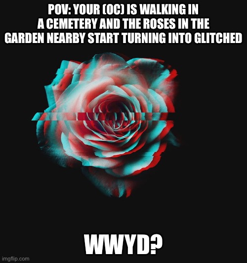 POV: YOUR (OC) IS WALKING IN A CEMETERY AND THE ROSES IN THE GARDEN NEARBY START TURNING INTO GLITCHED; WWYD? | made w/ Imgflip meme maker