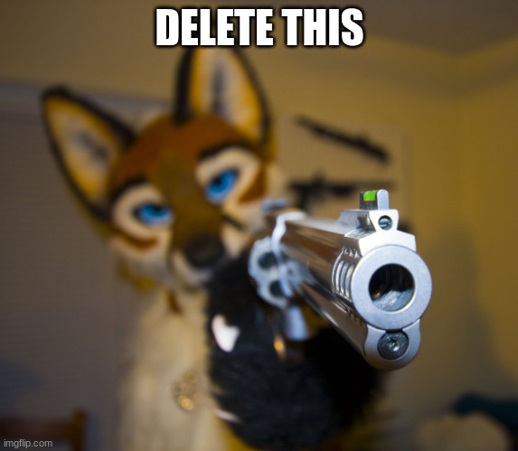 Furry with gun | DELETE THIS | image tagged in furry with gun | made w/ Imgflip meme maker